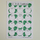 12 Week Countdown Chart, A5 Planner Inserts - Tropical