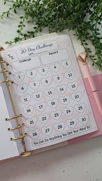30 Day Challenge Planner Inserts - Pink Marble