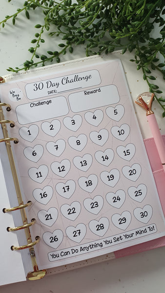 30 Day Challenge Planner Inserts - Pink Geo