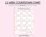 Printable 12 Week Countdown Weight Loss Tracker Chart - Pink Marble
